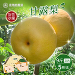[Home Shopping Network Strictly Selected] 28A Ganlu Pear Gift Box (9 catties) (5 pieces/box), , large
