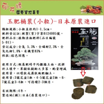 【向花緣】玉肥桶裝 日本原裝進口 小顆粒-8公斤, , large