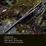 30cm Stainless Steel Casting Peg, , large