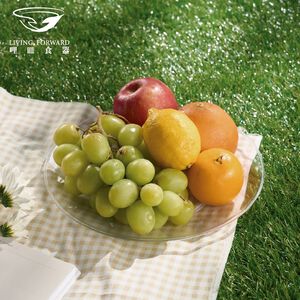 【哩皿食器】台灣製  食品級Tritan  小圓盤