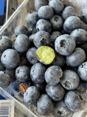Blueberry