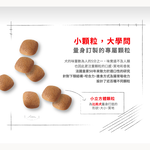 【拉拉寵物小舖】法國皇家 狗飼料 BCA 比熊成犬專用乾糧 1.5公斤, , large