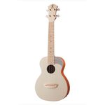 instrument, , large