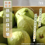 【寅食3 a.m.】台產燕巢珍珠芭樂10顆手提盒, , large