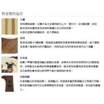 YAMAHA YEV104 NT 電子小提琴 正宗原木款【敦煌樂器】, , large
