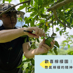【憋氣檸檬】檸檬汁12瓶(1460ml/瓶〉(免運費), , large