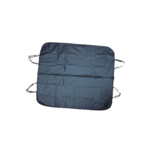 Cushion