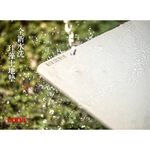 【MBM】綠意盎然_L號超厚切水洗式珪藻土地墊 建材做的地墊, , large
