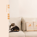 [祺城科技]O-Care【經典組】極消臭抗菌牡蠣殼豆腐砂(6入), , large