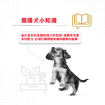 Royal Canin Dachshund Puppy DSP, , large