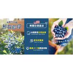 進口藍莓, , large