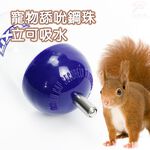 GS MALL 美國製造 LIXIT 寵物兔鼠類雙珠飲水瓶 300cc 天竺鼠 蜜袋鼯 黃金鼠 兔/鼠類 雙珠飲水瓶, , large