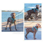 【寵愛生活本舖】中大型犬防爆衝胸背帶 寵物胸背帶 大型犬專用 背心式胸背帶, , large