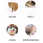 Natural Malt Cat Hairball Paste &ndash; Gentle Hair Removal Without Choking &ndash; Essential for Reducing Hairballs &ndash; Contains Dietary Fiber &ndash; Minimizes Dry Vomiting &ndash; Supports Smooth Digestion, , large