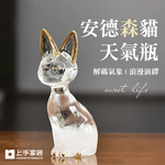 anderson-cat-weather-bottle, , large