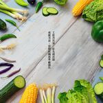 PERFECT 理想牌 金緻不銹鋼削皮器-Leidea樂德兒, , large