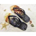 [巴拉娜巴西人字拖專賣店]中壢實體店面Havaianas哈瓦仕 哈瓦士 夾腳拖/人字拖 2024新款 TOP LOL 電玩 沙灘海灘 海邊 男款, , large
