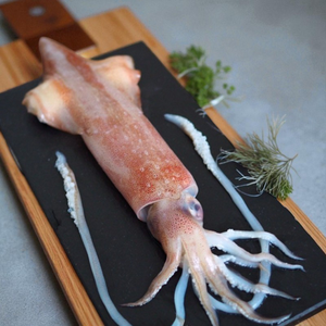 【一夫水產】海釣透抽－大(200-250g/尾)