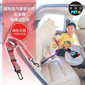 PET seat belt