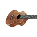 instrument, , large