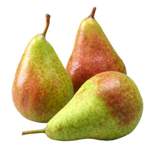Chilean Forelle pear