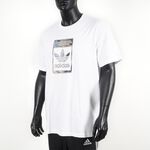 H13500, , large