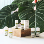 Geranium Oil , , large