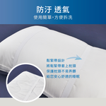 【多利寶寢具】Indian_抗菌防蟎枕頭保潔墊枕套(1對), , large