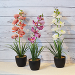 ARTIFICIAL ORCHID PLANT W/BLACK POT-WHITE, , large