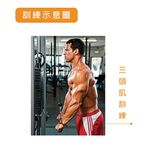 【德旺健身器材】【專業拉力器】黑色V字拉力桿, , large