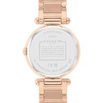 COACH CARY系列流轉水晶女錶-34mm CO14504266, , large