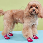 【寵愛生活本舖】寵物透氣軟底外出鞋 狗鞋 小狗鞋子, , large