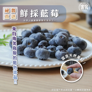 blueberry,  blueberry