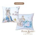 PETER RABBIT, , large