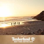 Timberland 天柏嵐 經典大樹大三針手錶42mm TDWGA0029604, , large