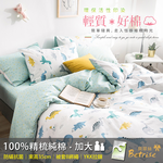 【Betrise貝翠絲】 淘氣恐龍 |  環保印染防螨抗菌100%精梳純棉兩用被床包組-加大, , large