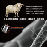 【AREXSPORT】登山羊毛帽 抑菌除臭/抗寒恆溫/登山/健行百岳攀岩 100%美麗諾羊毛 運動帽 保暖帽 銀髮族, , large