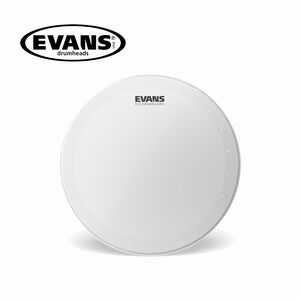 EVANS B14DRY 14吋單層 Coated 鼓皮【敦煌樂器】