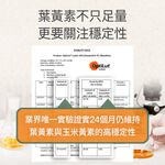 【FJ豐傑生醫】金盞花葉黃素MAX(30顆/袋)頂級游離型葉黃素，黃金配方，領先業界55mg花青素+3合1黃斑色素, , large