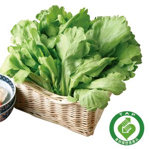 履歷茼蒿(每袋約250g)