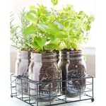 Ball® 16oz Pint Mason Jar & Lid, Regular Mouth, , large
