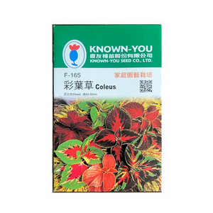 【向花緣】農友 彩葉草 - 花卉種子