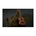 instrument, , large
