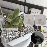 [熊好貼國際]螺絲貼片 特價 膠片加大螺長2種尺寸 粗糙不平光滑平整牆面皆可貼 不殘膠不傷磁磚 無痕掛勾 舒適家掛鉤, , large