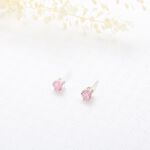 【Angel & Me】六爪 皇冠 5mm 瑞士 彩鑽 單鑽鋯石 一對 s925 純銀 耳環 耳夾 禮物, , large