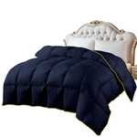 【Hilton】Soybean Plant Fiber Healthy Energy Quilt 2.5Kg (Quilt/Quilt/Fiber Quilt) (B0858-N25), , large
