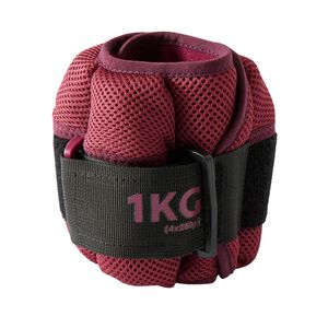 迪卡儂1kg可調沙袋啞鈴2入