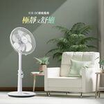 CHIMEI 14” DC Motor Remote Energy-Saving Fan DF-14LF01, , large