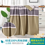 【Betrise貝翠絲 多款任選】60支100%天絲可水洗舖棉四季涼被5X6.5尺一入-限時5折!!!, , large