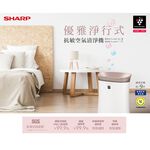 SHARP 夏普 9坪 自動除菌離子空氣清淨機 鳶茶棕 FU-H40T-T, , large